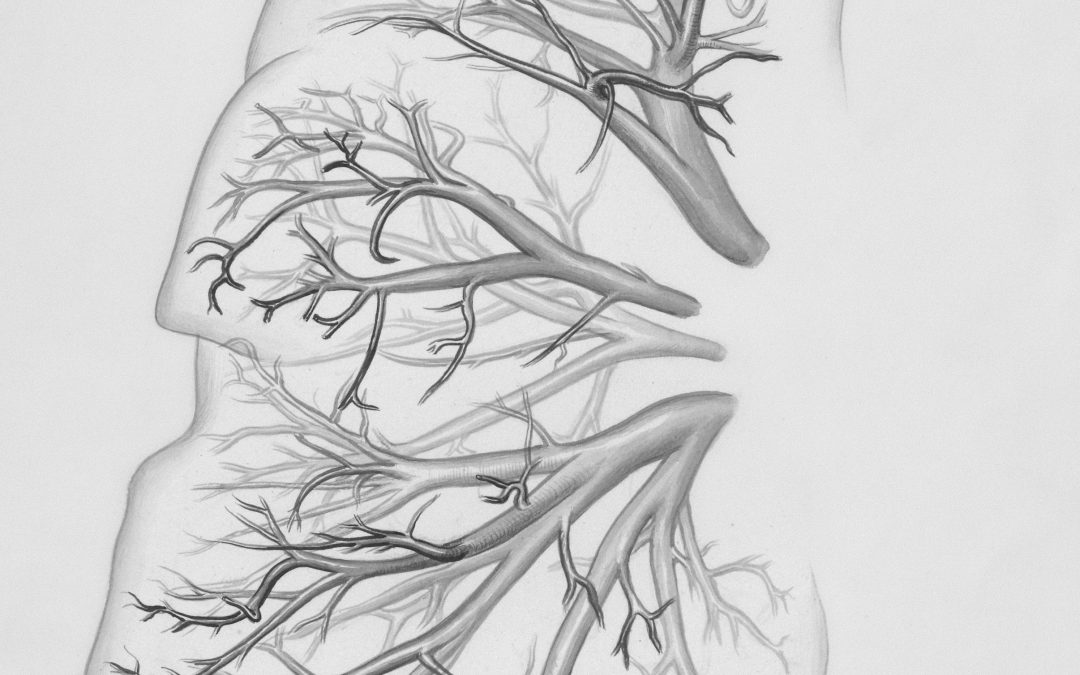 “Just Breathe” – Why Breathing Techniques Are the New Secret Weapon in Physiotherapy