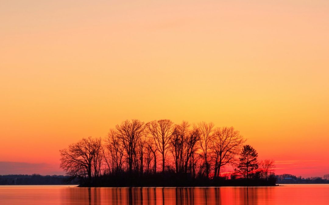 Sleep & Heat: Managing Rest During Warm Summer Nights